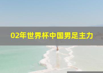 02年世界杯中国男足主力