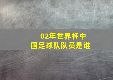 02年世界杯中国足球队队员是谁