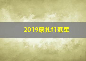 2019蒙扎f1冠军
