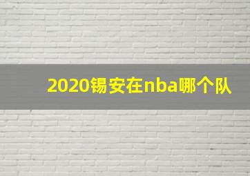 2020锡安在nba哪个队