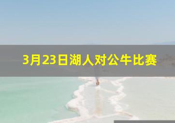 3月23日湖人对公牛比赛