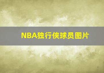 NBA独行侠球员图片