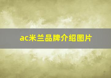 ac米兰品牌介绍图片