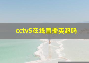 cctv5在线直播英超吗
