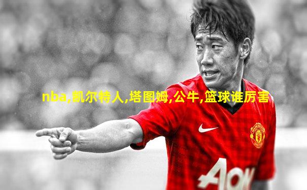nba,凯尔特人,塔图姆,公牛,篮球谁厉害