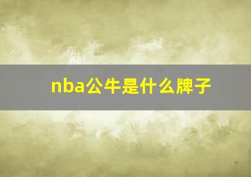 nba公牛是什么牌子