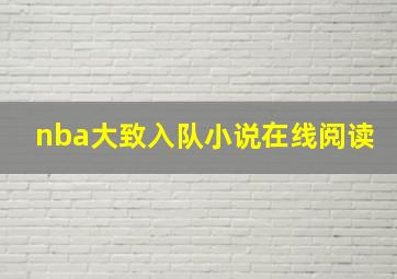 nba大致入队小说在线阅读