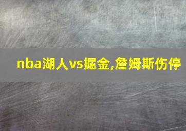 nba湖人vs掘金,詹姆斯伤停