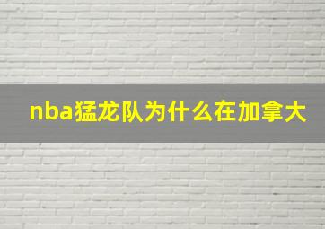 nba猛龙队为什么在加拿大