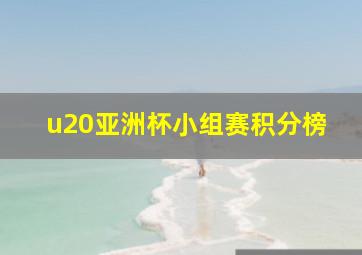 u20亚洲杯小组赛积分榜