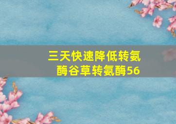 三天快速降低转氨酶谷草转氨酶56
