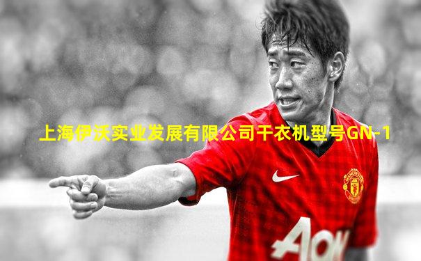 上海伊沃实业发展有限公司干衣机型号GN-1