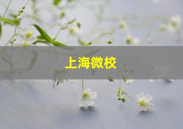 上海微校