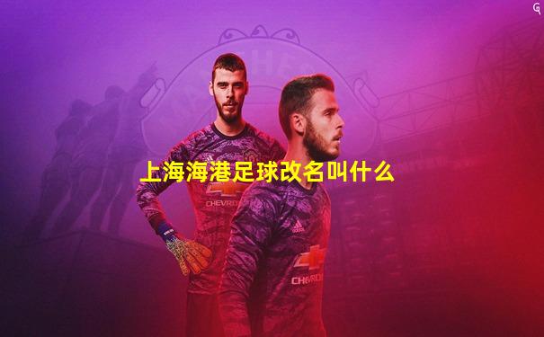 上海海港足球改名叫什么