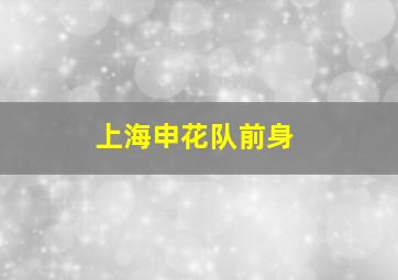 上海申花队前身