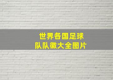 世界各国足球队队徽大全图片