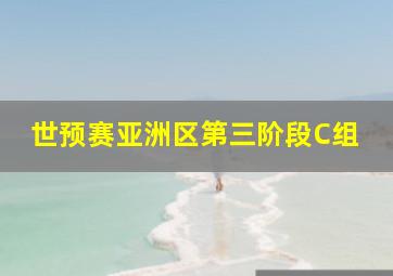 世预赛亚洲区第三阶段C组