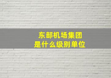 东部机场集团是什么级别单位