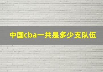 中国cba一共是多少支队伍