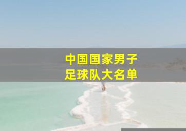 中国国家男子足球队大名单