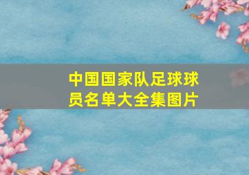 中国国家队足球球员名单大全集图片