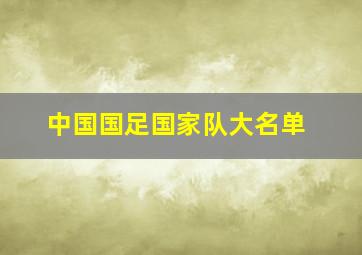 中国国足国家队大名单