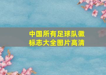 中国所有足球队徽标志大全图片高清
