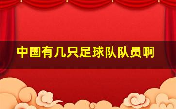 中国有几只足球队队员啊