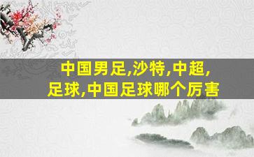 中国男足,沙特,中超,足球,中国足球哪个厉害