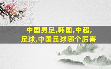 中国男足,韩国,中超,足球,中国足球哪个厉害