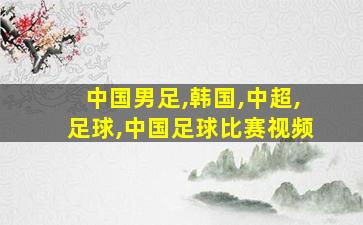 中国男足,韩国,中超,足球,中国足球比赛视频