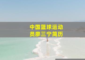 中国篮球运动员廖三宁简历