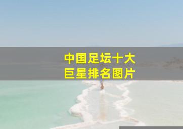 中国足坛十大巨星排名图片