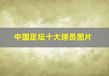 中国足坛十大球员图片