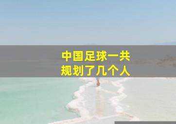 中国足球一共规划了几个人