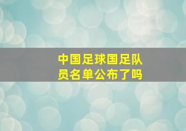 中国足球国足队员名单公布了吗