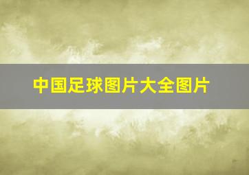 中国足球图片大全图片