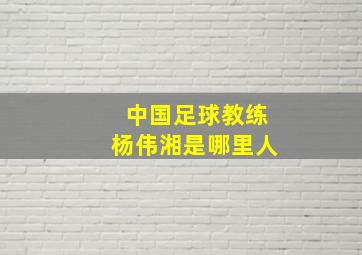 中国足球教练杨伟湘是哪里人