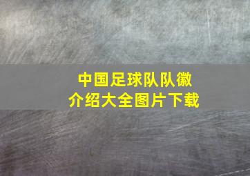 中国足球队队徽介绍大全图片下载