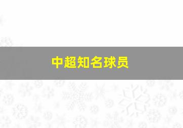 中超知名球员