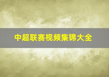中超联赛视频集锦大全