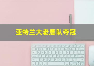 亚特兰大老鹰队夺冠