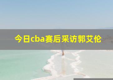 今日cba赛后采访郭艾伦
