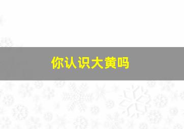 你认识大黄吗