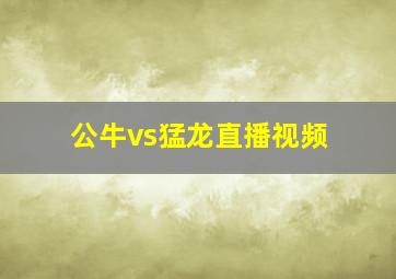 公牛vs猛龙直播视频