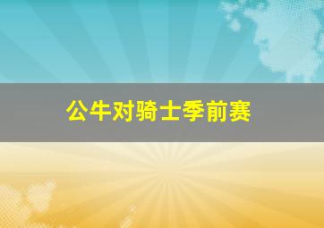 公牛对骑士季前赛