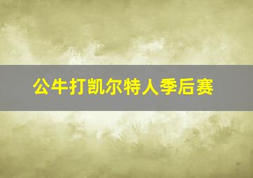 公牛打凯尔特人季后赛