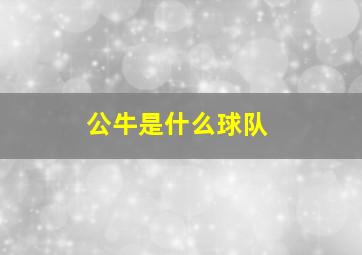 公牛是什么球队