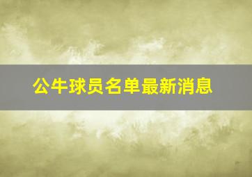 公牛球员名单最新消息