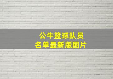 公牛篮球队员名单最新版图片